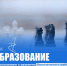 Развитие Фрунзенского района в области образования - Фрунзенский район