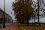 Тепло до +9 градусов ожидается в Петербурге 9 ноября