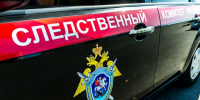 Бастрыкин заинтересовался делом о падении девятилетней девочки с лошади в Ленобласти - Комсомольская правда