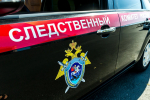 Бастрыкин заинтересовался делом о падении девятилетней девочки с лошади в Ленобласти