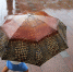 МЧС предупредило о сильном ветре в Петербурге 21 ноября - ГАZЕТА.СПб