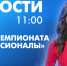 Новости Петербурга к 11:00 - tvspb.ru - ТК Санкт-Петербург
