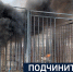 Вести 24 - ГТРК Санкт-Петербург