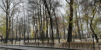 Циклон принесет дожди и ветер в Петербург на выходных - Санкт-Петербург.ру
