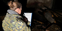 Полностью сгоревший дом и два трупа: СК начал проверку в поселке Молосковицы в Ленобласти - Neva.Today