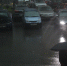 В ноябре электронных паспортов на автомобили выдали в два раза меньше, чем в октябре - Петербургский дневник