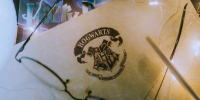 Вместо совы с письмом – уголовное дело: перед судом предстанет поттероман, продававший украденные сладости - Neva.Today