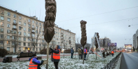 Порядка 17 тысяч деревьев укроют на зиму в Петербурге - Комсомольская правда