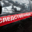 Следователи возбудили уголовное дело из-за нападения стаи собак на ребенка в Ленобласти - Комсомольская правда