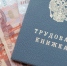 Жители Петербурга на 22 процента активнее стали искать работу перед Новым годом - Комсомольская правда