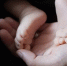 Фото: Pixabay - Мой район