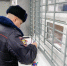 Полицейские задержали мать, брошенного младенца в ТЦ Петербурга - Комсомольская правда