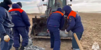 Не меньше месяца понадобится на очистку побережья Краснодарского края от нефтепродуктов - Spbdnevnik.ru