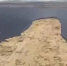 В Анапе спасли 972 птицы после разлива мазута в Черном море - Moika78.Ru