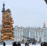 Елка на Дворцовой 19 декабря. Фото: Мойка78 - Moika78.Ru