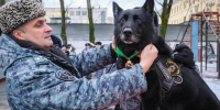 Фото: t.me/rosgvardszo - НИА Санкт-Петербург