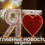 Дайджест 16.12.24-22.12.24 - Невский район