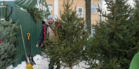 В метро Петербурга разрешили провозить елку размером до 220 сантиметров - Комсомольская правда