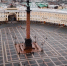Петербуржцев ждут туман и гололедица 27 декабря - tvspb.ru - ТК Санкт-Петербург