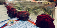 В Санкт-Петербурге состоялось торжественное принятие Присяги молодыми сотрудниками, впервые поступившими на службу в органы СК России - Следственный комитет