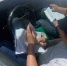За год в Петербурге на штрафстоянку отправили 64 авто нелегальных перевозчиков - ГАZЕТА.СПб