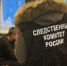 В Санкт-Петербурге взят под стражу обвиняемый в совершении преступления против половой неприкосновенности 9-летней девочки - Следственный комитет