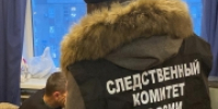 В Санкт-Петербурге взят под стражу обвиняемый в совершении преступления против половой неприкосновенности 9-летней девочки - Следственный комитет