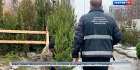 Сотрудники ККИ проверяют ёлочные базары - ГТРК Санкт-Петербург