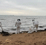 Основные работы по очистке побережья Черного моря от мазута могут быть завершены за неделю - Петербургский дневник