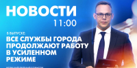 Новости Петербурга к 11:00 - tvspb.ru - ТК Санкт-Петербург