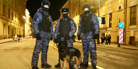 Отправили отмечать Новый год в отдел полиции: петербуржца задержали за запуск фейерверка в толпе людей - Neva.Today