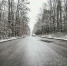 В Петербурге объявлен «желтый» уровень опасности из-за гололеда - ГАZЕТА.СПб