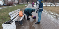 Порядка 20 владельцев собак привлекли к ответственности за нарушения правил выгула - Комитет по вопросам законности
