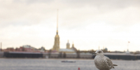 Синоптик Колесов рассказал о температурных рекорда и грядущем похолодании - Петербургский дневник