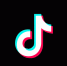 Оскорбительную песню «Йоу, русские» удалили из TikTok - Spbdnevnik.ru