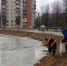 В Петербурге за неделю собрали более 12 тонн опасных отходов - Spbdnevnik.ru