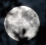Россиянам рассказали, что нельзя делать в полнолуние 12 февраля - Spbdnevnik.ru