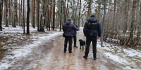 Фото: комитет по вопросам законности Петербурга - Мой район