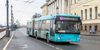 В Петербурге увеличилось количество мигрантов, работающих по патентам водителями автобусов - Петербургский дневник