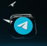 Петербуржцы смогут взаимодействовать с мировыми судьями через Telegram - Neva.Today