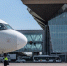 Фото https://t.me/pulkovo_led - Metro Петербург