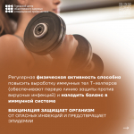 Всемирный день иммунитета 1 марта
