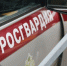 В Выборгском районе сотрудники Росгвардии задержали хулигана, устроившего разгром в книжном магазине - Росгвардия