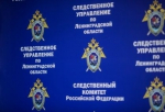В Выборгском районе иностранца подозревают в покушении на дачу взятки сотруднику полиции