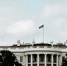 «Мышление школьника»: стало известно, почему Трампа взбесил Зеленский - Neva.Today