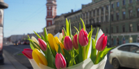 Потепление до плюс 9 градусов ожидается в Санкт-Петербурге 8 марта - Spbdnevnik.ru