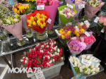 В Петербурге телебашня "превратится" в букет тюльпанов в честь 8 Марта