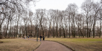 До +5 градусов в Санкт-Петербурге ожидается 7 марта - Spbdnevnik.ru