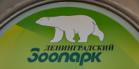В Ленинградском зоопарке 10 марта будет санитарный день - Петербургский дневник