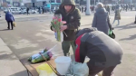 В Петербурге в преддверии 8 марта у нелегальных продавцов изъяли около тысячи букетов
